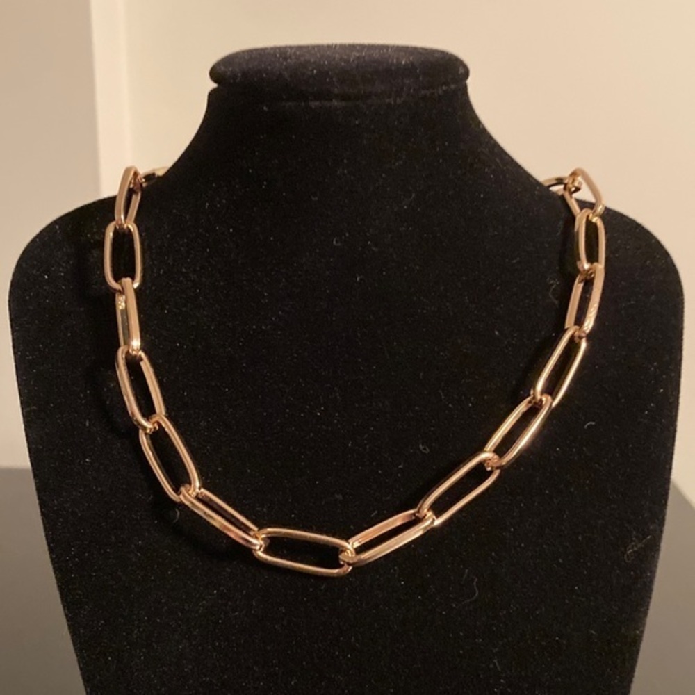 Express Gold Link Necklace